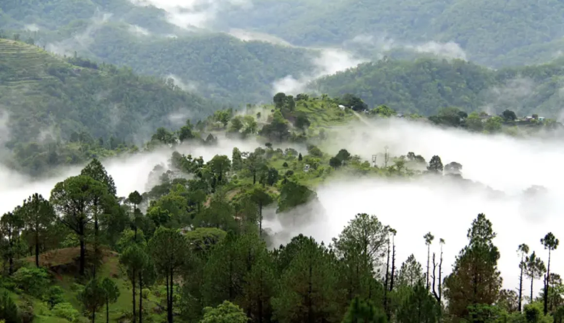 best-of-garhwal1
